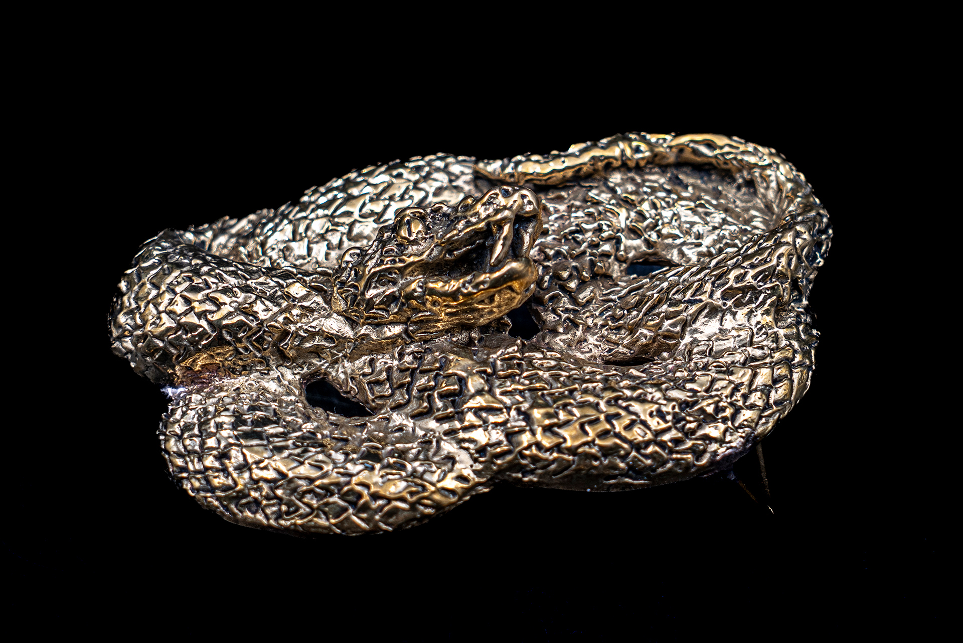 Intertwined Snake