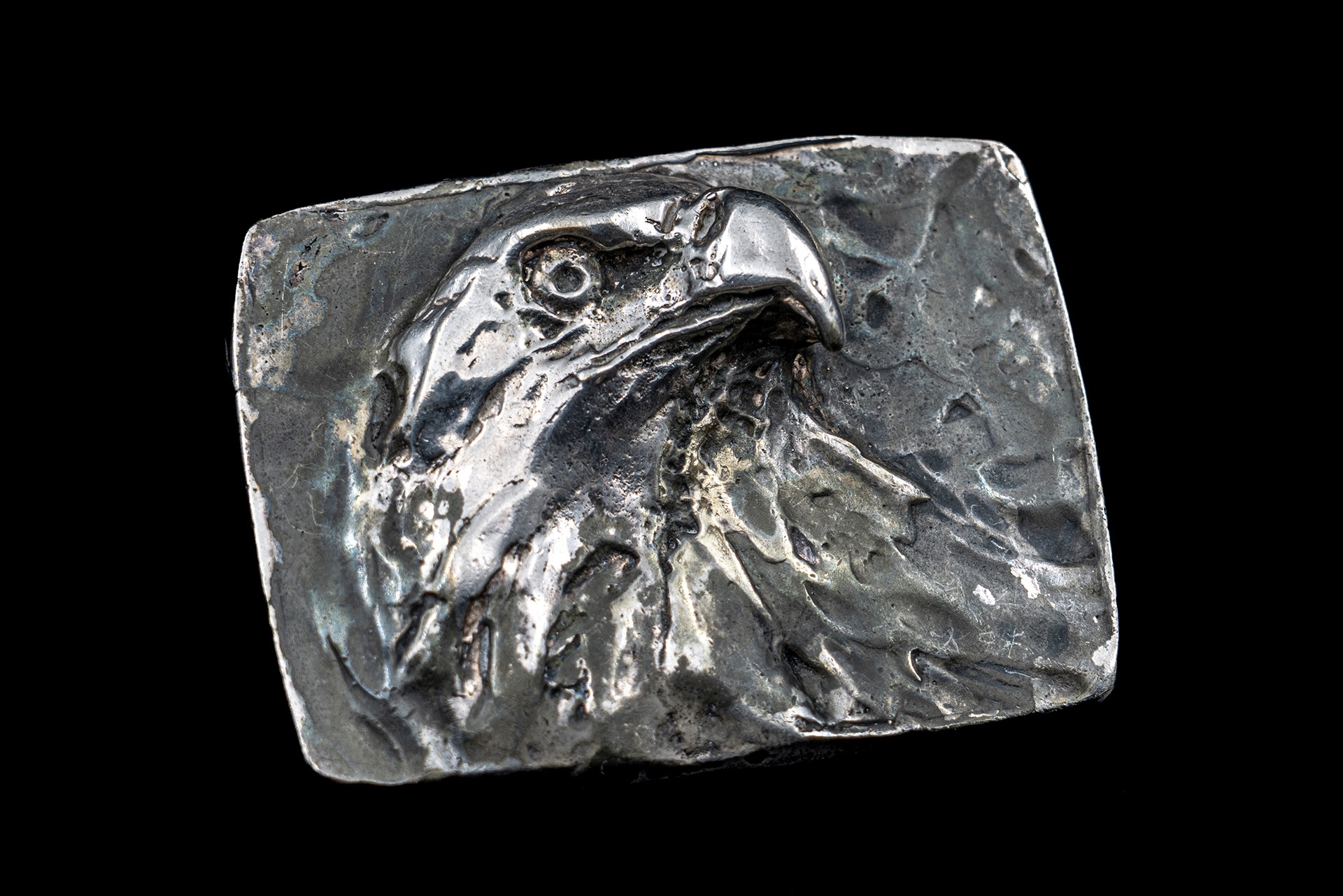 American Eagle (3/4 view)
