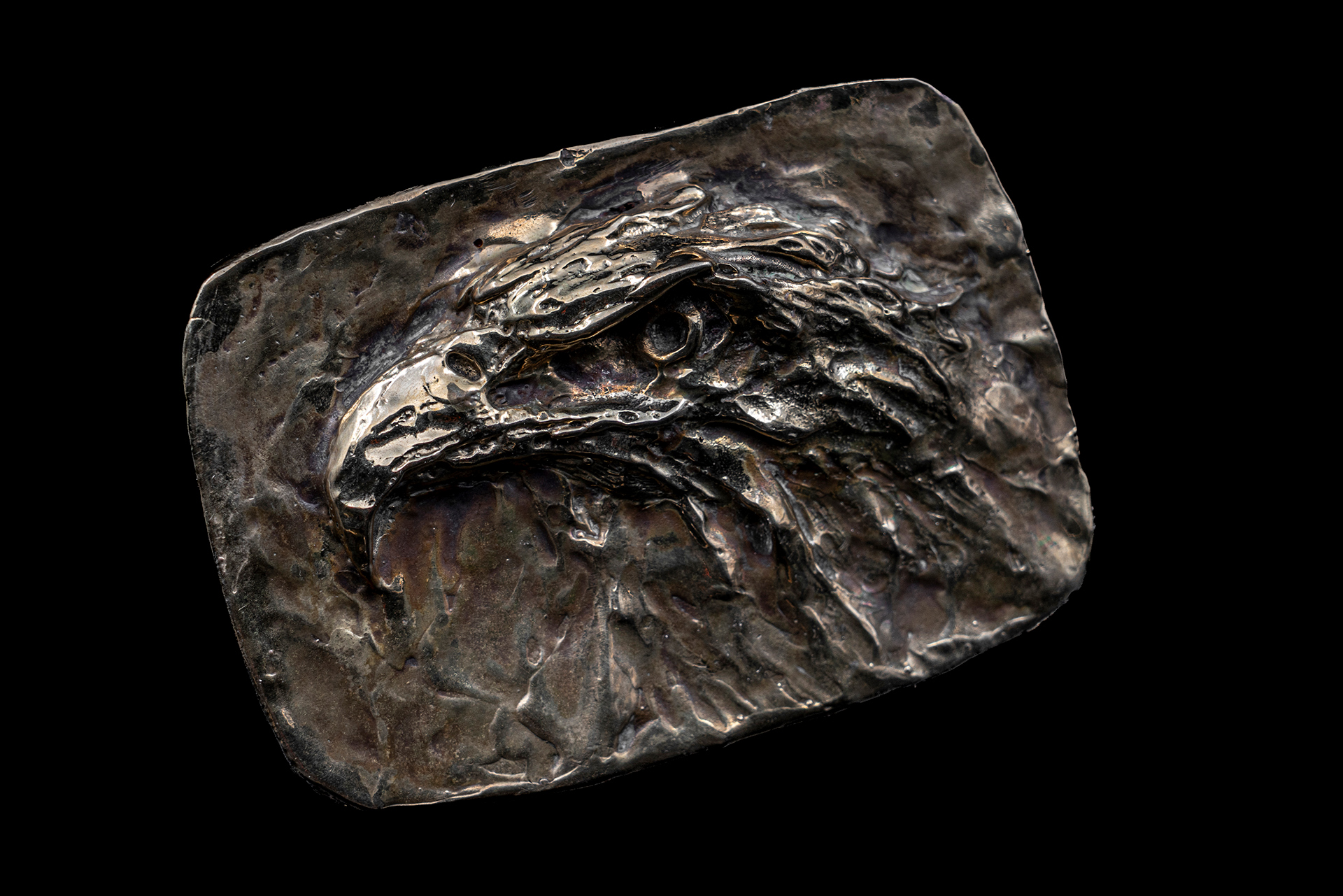 Side View Eagle