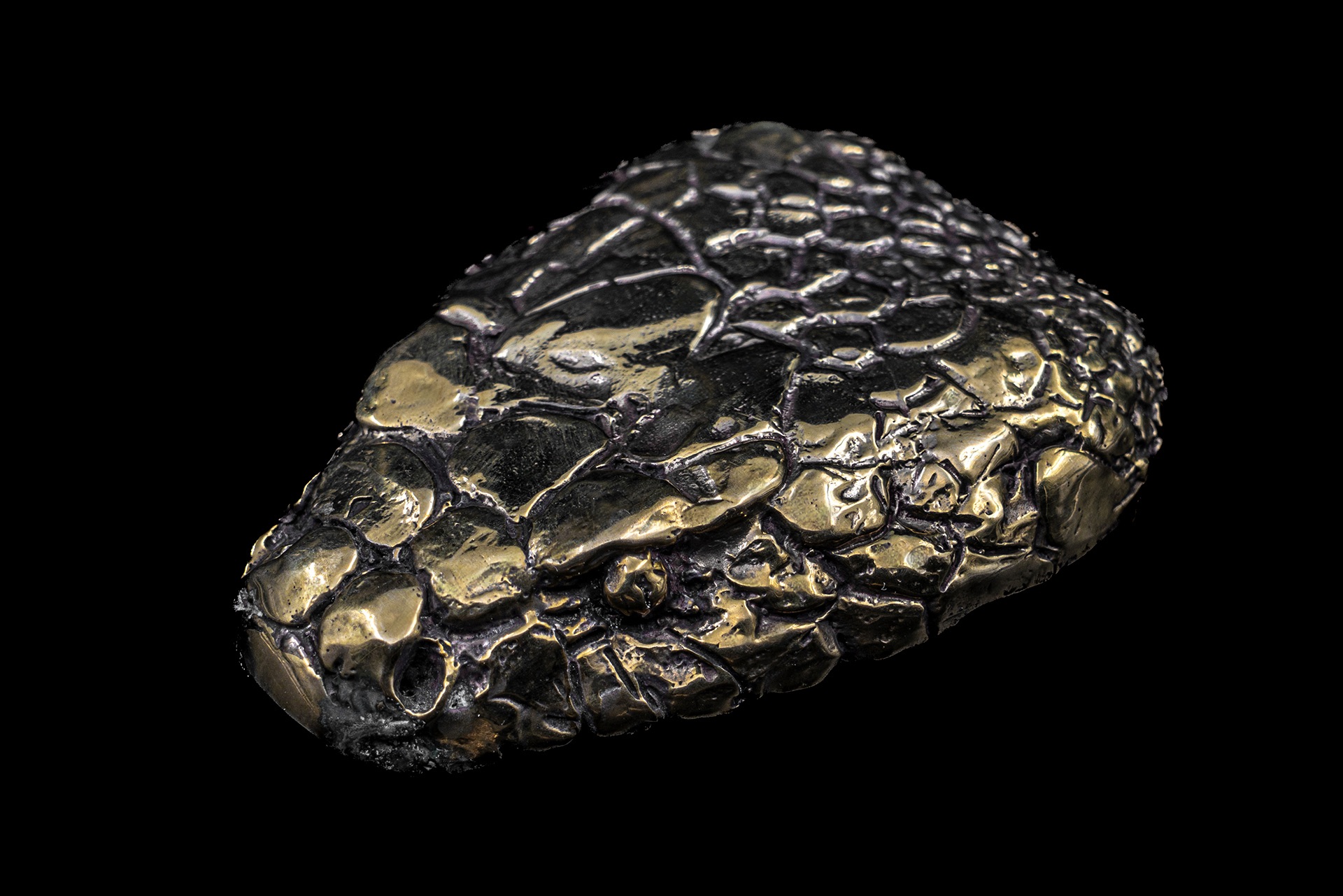 Snake Head