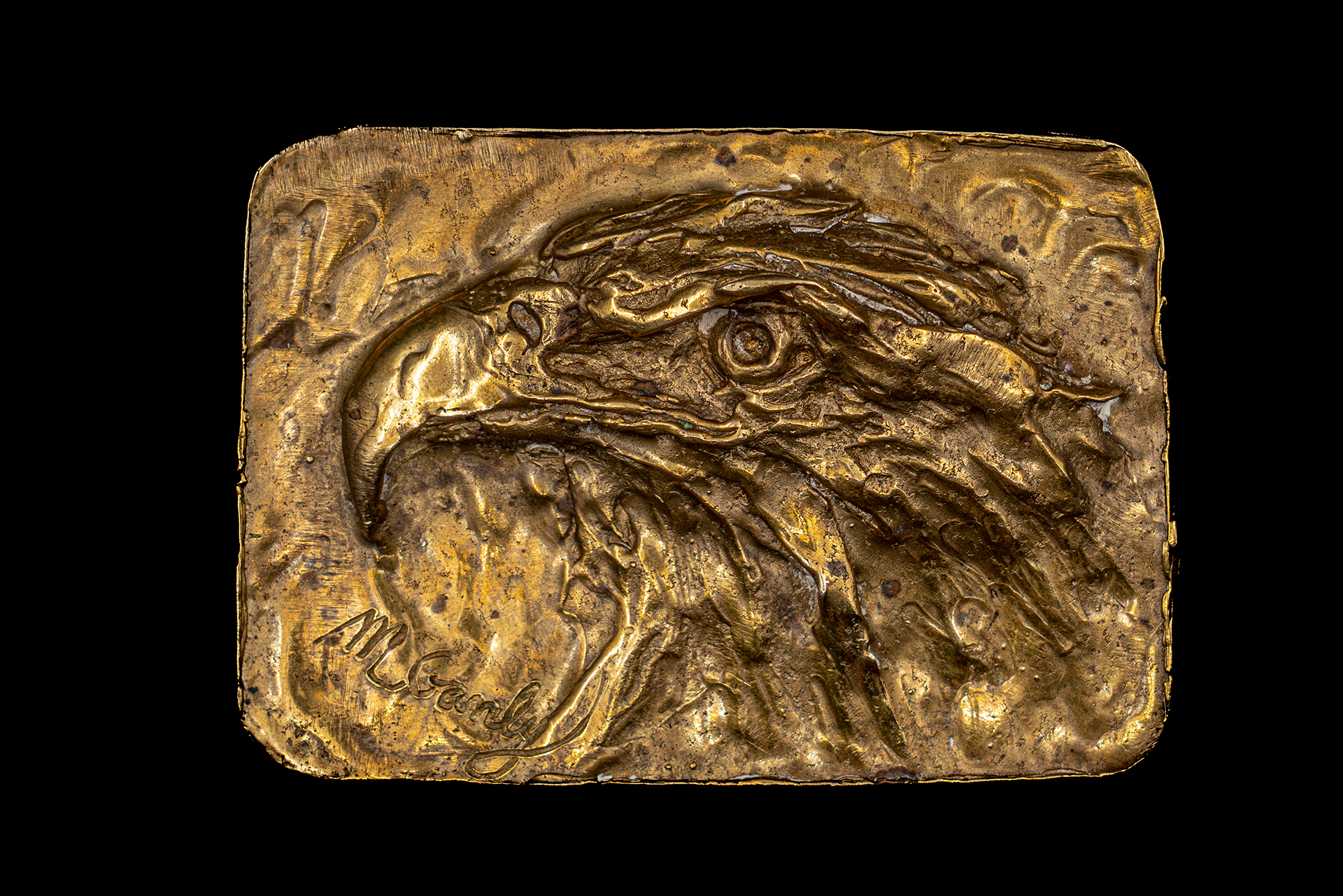 Side View Eagle