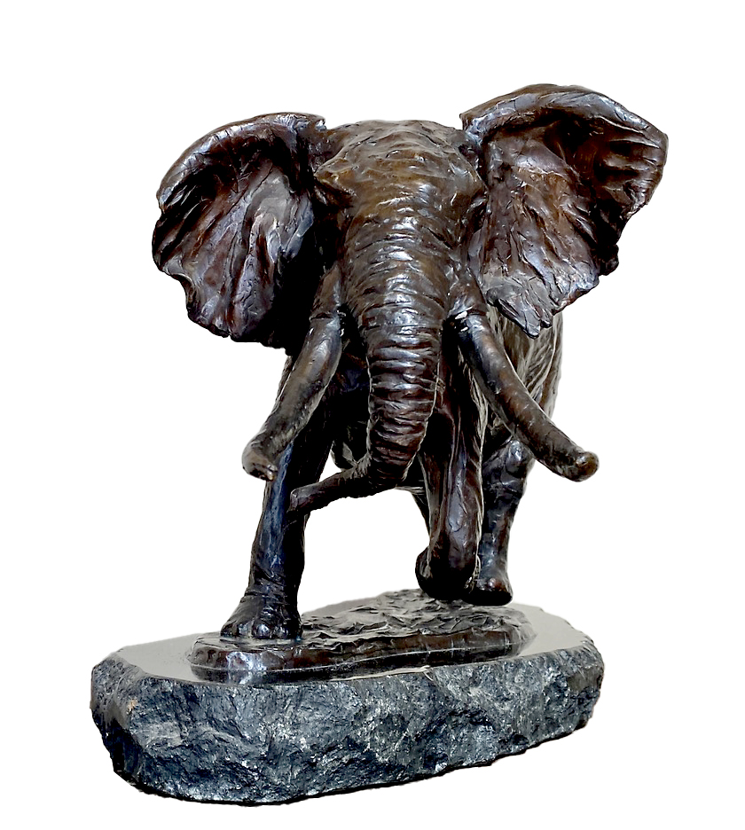 African Elephant
