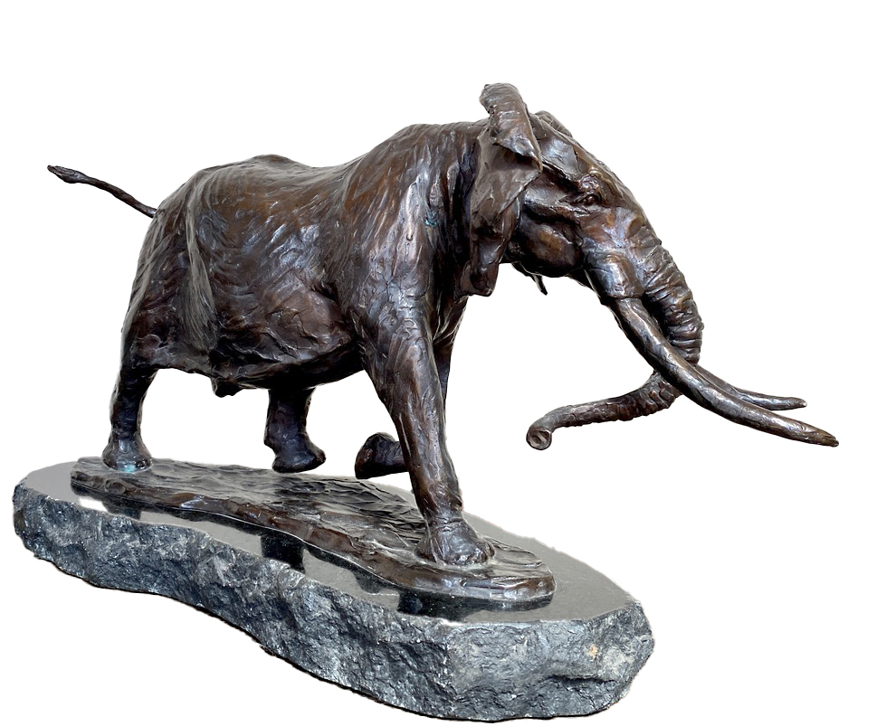 African Elephant