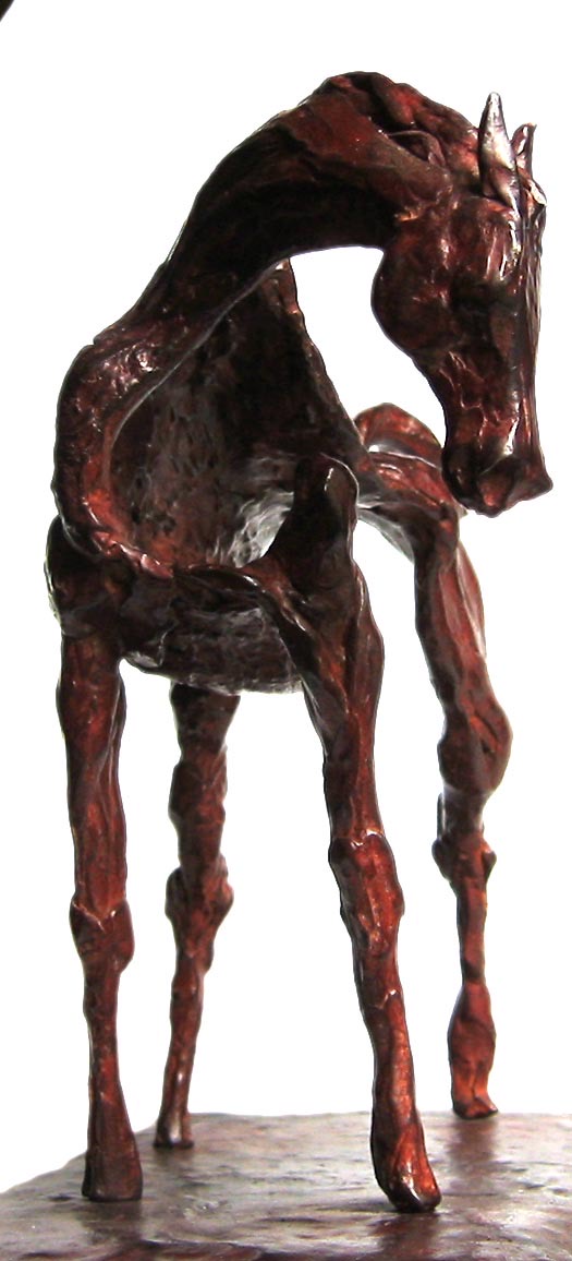 Equus