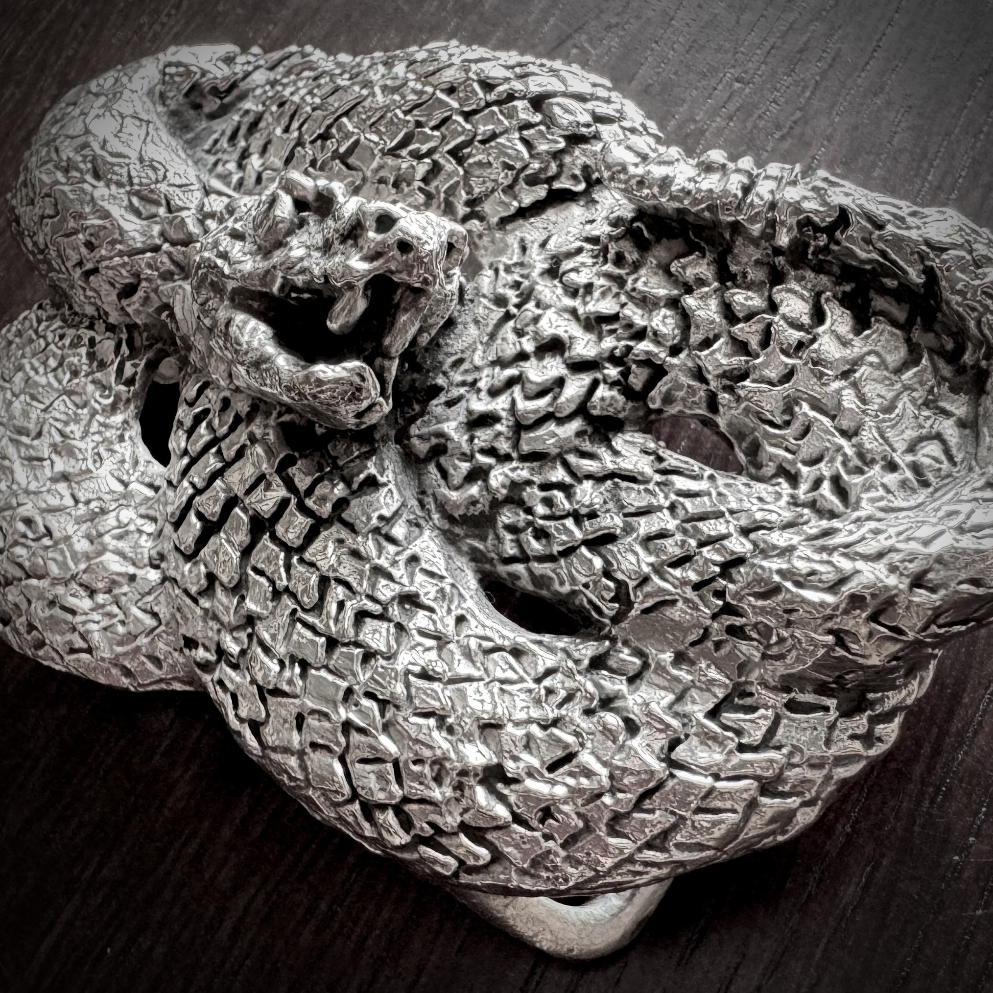 Intertwined Snake