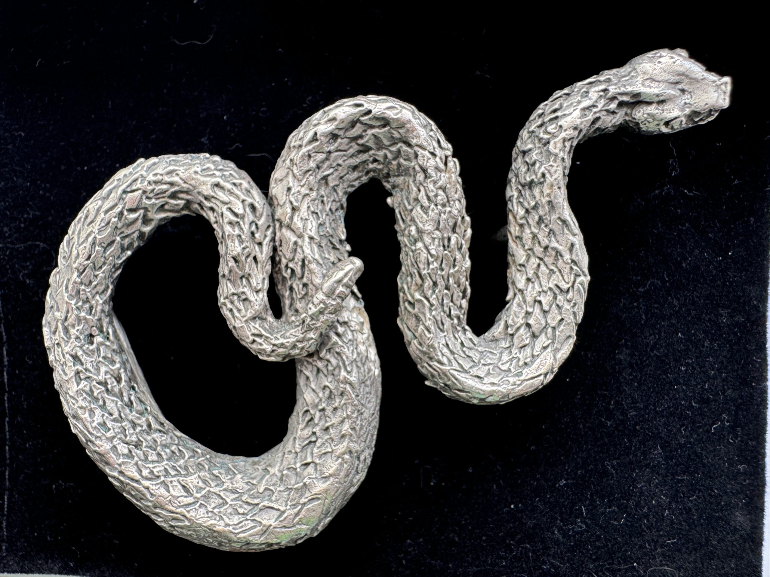 Squiggly Snake