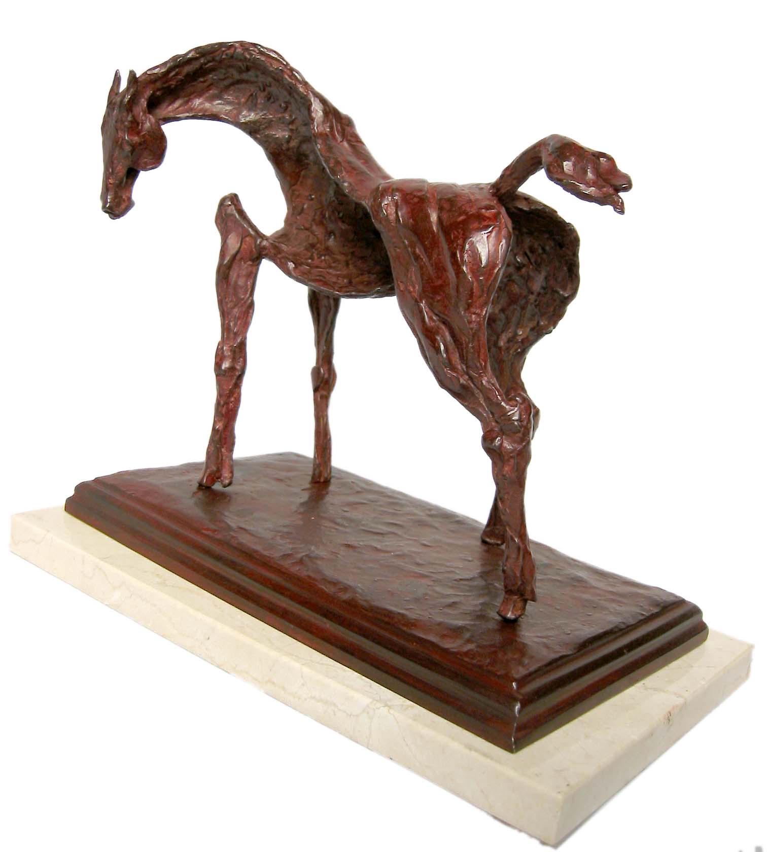 Equus